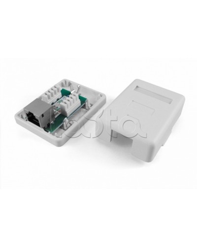 Розетка компьютерная RJ-45(8P8C) Hyperline SB1-1-8P8C-C5e-SH-WH в Домодедово Розетки компьютерные и телефонные Pintop.ru
