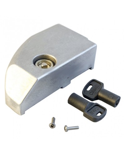 Дверца замка разблокировки BK Came 119RIBK012 в Домодедово Запчасти для шлагбаумов и автоматики Pintop.ru