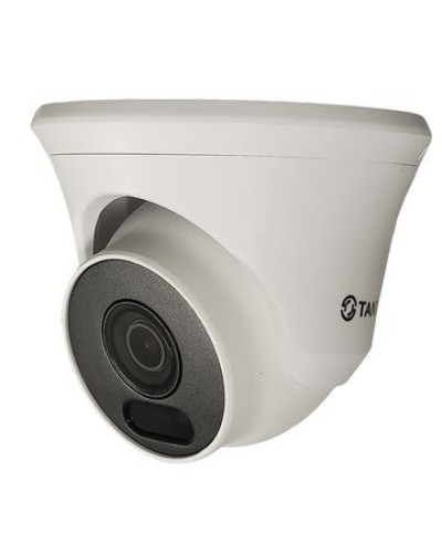 Видеокамера в купольном исполнении уличная Tantos TSc-Ee5FN в Домодедово Системы видеонаблюдения Pintop.ru
