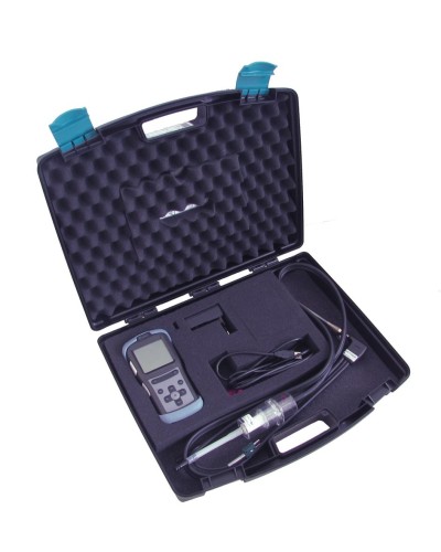 Газоанализатор Seitron CHEMIST 103 в Домодедово Технологические извещатели Pintop.ru