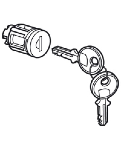 Цилиндр встроенный под ключ №405 Legrand 020291 в Домодедово Дополнительное оборудование для сетей Pintop.ru