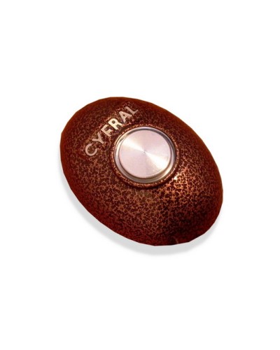 Кнопка открывания двери Цифрал КОДсП-4 в Домодедово Многоабонентные устройства Pintop.ru