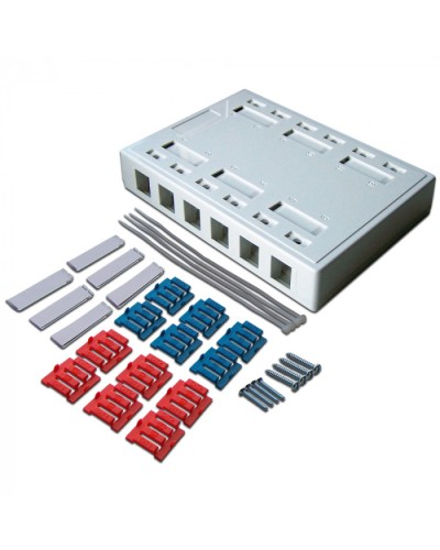 Коробка настенная на 12 кейстоунов, белая LANMASTER (LAN-MB-12K-WH) в Домодедово Распределительные коробки Pintop.ru