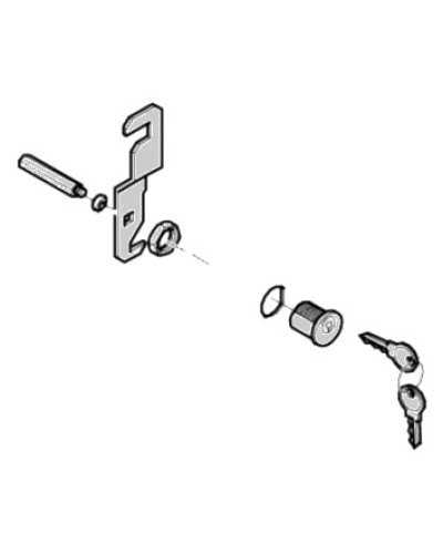 Замок дверцы G4040 G4041 Came 119RIG176 в Домодедово Запчасти для шлагбаумов и автоматики Pintop.ru