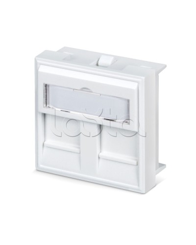 Вставка 45x45 (аналог Mosaic) для 2 модулей формата Keystone Jack Cabeus FP-45-2M в Домодедово Модули Keystone Pintop.ru