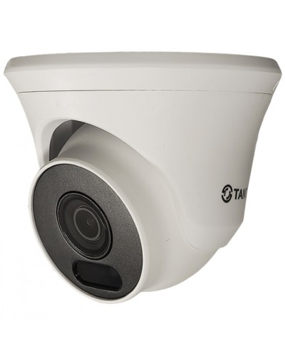 Видеокамера в купольном исполнении уличная Tantos TSc-Ee2FN в Домодедово Системы видеонаблюдения Pintop.ru