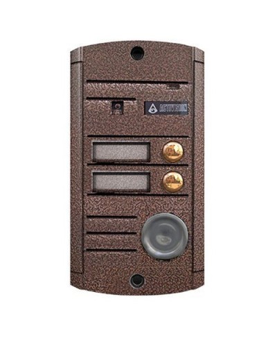 Видеопанель вызывная накладная цветная на 2 абонента с TM-считывателем Activision AVP-452 ТМ (PAL, медь) в Домодедово Вызывные видеопанели малоабонентные Pintop.ru