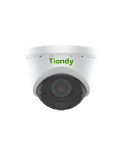 Уличная купольная IP-камера Tiandy TC-C34HN Spec:I3/E/Y/C/2.8mm/V4.2 в Домодедово IP-камеры Pintop.ru