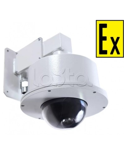 Видеокамера взрывозащищенная Компания СМД Орион МК PTZ- С-220В в Домодедово Взрывозащищенные камеры Pintop.ru