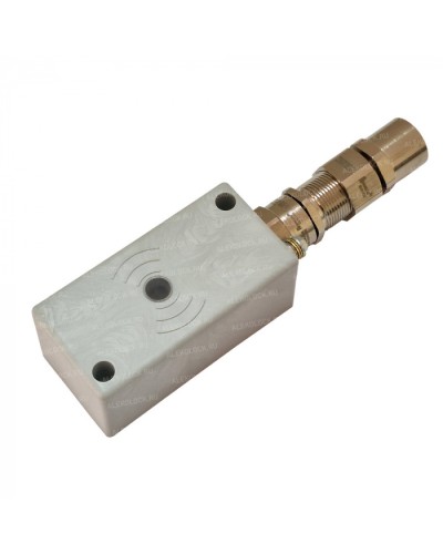 Считыватель взрывозащищенный ALeko ALM-RD-S08-FM-RMFEH-T в Домодедово Считыватели Pintop.ru