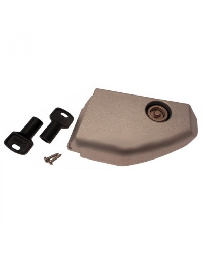 Дверца разблокировки с замком BX Came 119RIBX008 в Домодедово Запчасти для шлагбаумов и автоматики Pintop.ru