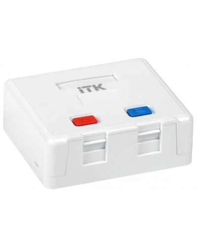 Корпус настенной розетки для 2 мод. Keystone Jack ITK (CS2-022) в Домодедово Коннекторы Pintop.ru