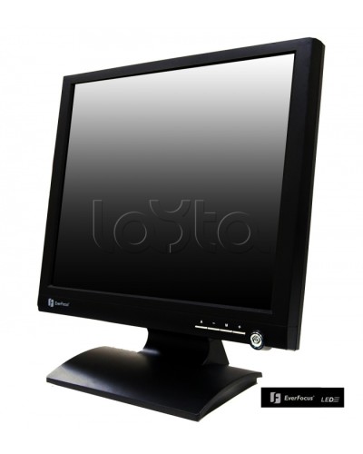 Монитор профессиональный EverFocus FH-19LED в Домодедово Мониторы для видеонаблюдения Pintop.ru