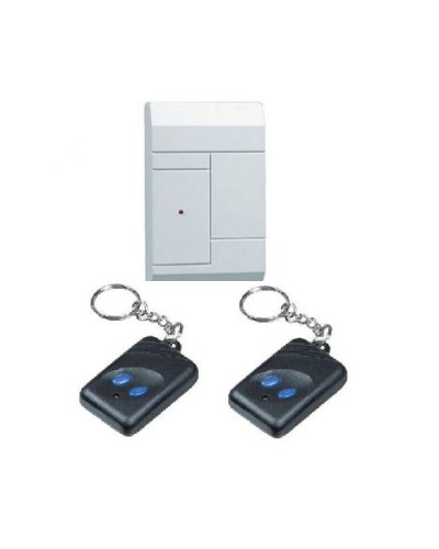 Комплект приёмник RR-1R + 2 брелока RFG-1 Альтоника Риф Ринг RR-1 в Домодедово Радиоканальные системы безопасности Pintop.ru