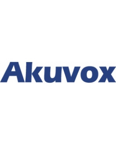 IP монитор (интерком-панель) Akuvox C313W_V2 в Домодедово Абонентские IP устройства Pintop.ru