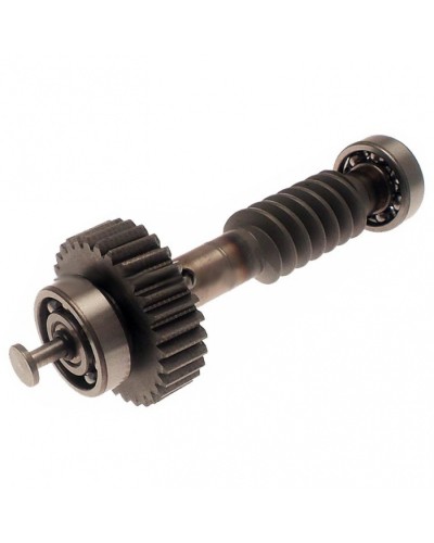 Червяк редуктора FAST в сборе Came 119RID228 в Домодедово Запчасти для шлагбаумов и автоматики Pintop.ru