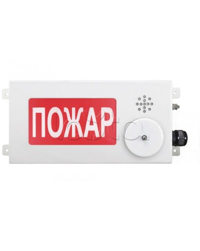 Табло светозвуковое взрывозащищенное Спектрон ТСЗВ-Exm-М-Прометей-МИНИ 220В в Домодедово Оповещатели Ex Pintop.ru