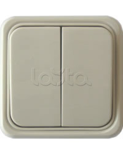 Выключатель двухклавишный открытой установки Экопласт, схема 5, (бежевый) в Домодедово Розетки компьютерные и телефонные Pintop.ru