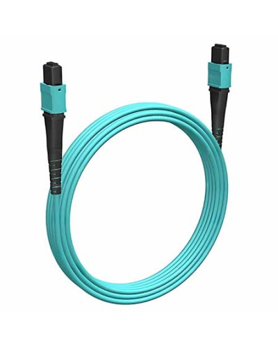 Кабельная сборка MPO(F) -MPO(F)-12 волокон 50/125 OM3, 1 m Cabeus (FOP-50-OM3-12-MPO(F)-12-MPO(F)-B-1m) в Домодедово Кабельные сборки (оптические) Pintop.ru