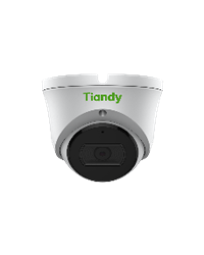 Уличная купольная IP-камера Tiandy TC-C32XN Spec:I3/E/Y/M/2.8mm/V4.1 в Домодедово IP-камеры Pintop.ru