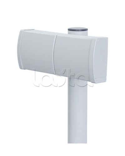 Извещатель радиоволновой однопозиционный Forteza ЗЕБРА-42(5,8)-В-А в Домодедово Извещатели охраны периметра Pintop.ru