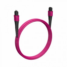 Кабельная сборка MPO(F) -MPO(M)-12 волокон 50/125 OM4, 1 m Cabeus (FOP-50-OM4-12-MPO(F)-12-MPO(M)-B-1m)