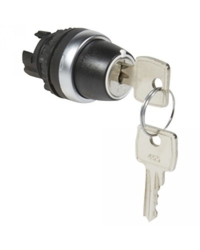 Переключатель с ключом № 455 Osmoz для комплектации без подсветки Legrand 023955 в Домодедово Дополнительное оборудование для СКУД Pintop.ru