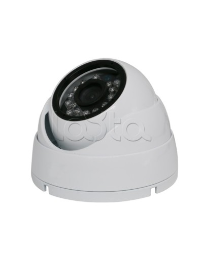 Камера видеонаблюдения купольная EverFocus ACE-IAB20XHD в Домодедово Аналоговые камеры Pintop.ru