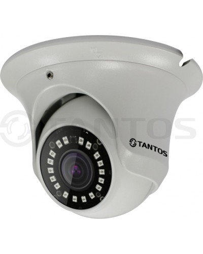 IP-камера видеонаблюдения купольная Tantos TSi-Ee25FP (2.8) в Домодедово IP-камеры Pintop.ru