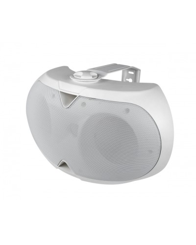 Громкоговоритель настенный 2-х полосный VOLTA ELLIPSE-2440TW в Домодедово Система оповещения и трансляции Volta Pintop.ru