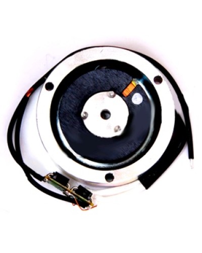 Электромагнит BY1500T Came 119RIY034 в Домодедово Запчасти для шлагбаумов и автоматики Pintop.ru