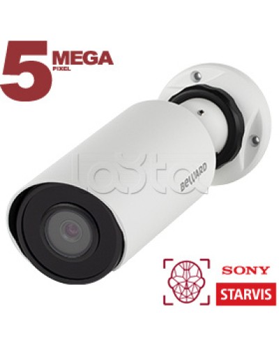 IP-камера видеонаблюдения в стандартном исполнении Beward SV3218R2 2.8 в Домодедово IP-камеры Pintop.ru