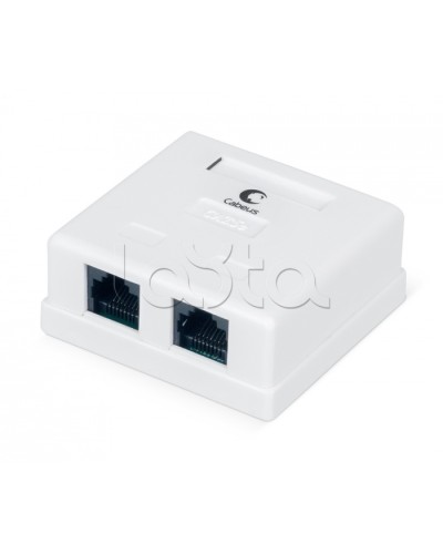 Розетка компьютерная RJ-45, категория 5e, двойная, внешняя, Dual IDC Cabeus WS-8P8C-Cat.5e-2 в Домодедово Розетки компьютерные и телефонные Pintop.ru