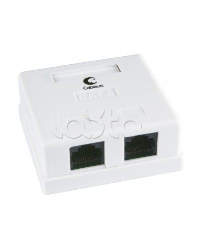 Розетка компьютерная RJ-45(8P8C), категория 6, двойная, внешняя, Krone type Cabeus WS-8P8C-Cat.6-2 в Домодедово Розетки компьютерные и телефонные Pintop.ru