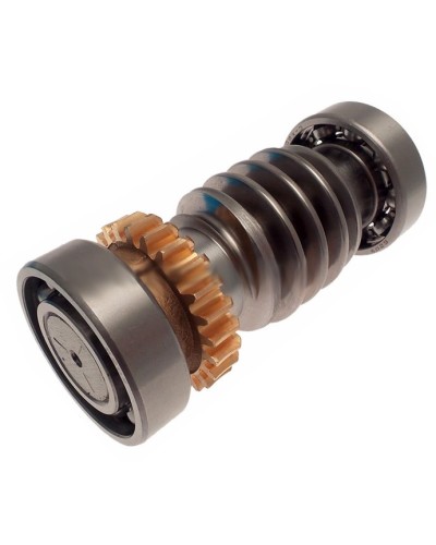 Червяк FROG Came 119RIA016 в Домодедово Запчасти для шлагбаумов и автоматики Pintop.ru