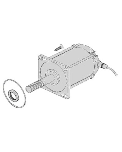 Электродвигатель Came 119RIA025 в Домодедово Запчасти для шлагбаумов и автоматики Pintop.ru