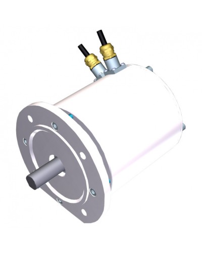 Электродвигатель FROG-MS Came 119RIA081 в Домодедово Запчасти для шлагбаумов и автоматики Pintop.ru