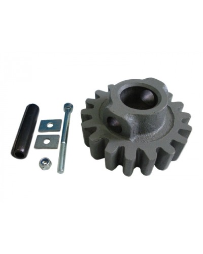 Шестерня ведущая ВК Came 119RIBK002 в Домодедово Запчасти для шлагбаумов и автоматики Pintop.ru
