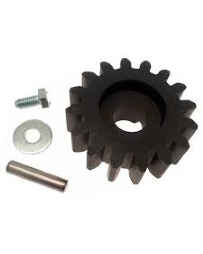 Шестерня для цепной передачи Came 119RIBK036 в Домодедово Запчасти для шлагбаумов и автоматики Pintop.ru