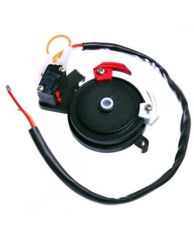 Концевые микровыключатели в сборе BX-243 Came 119RIBX041 в Домодедово Запчасти для шлагбаумов и автоматики Pintop.ru