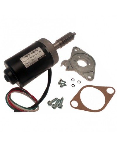 Электродвигатель BX-243 в сборе Came 119RIBX046 в Домодедово Запчасти для шлагбаумов и автоматики Pintop.ru