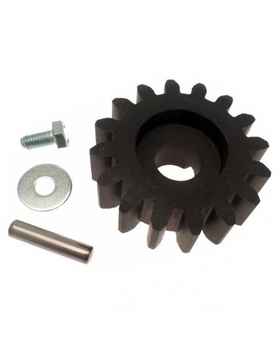 Шестерня ведущая BZ Came 119RIBZ005 в Домодедово Запчасти для шлагбаумов и автоматики Pintop.ru