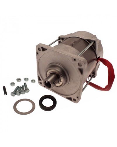 Электродвигатель FERNI Came 119RID087 в Домодедово Запчасти для шлагбаумов и автоматики Pintop.ru