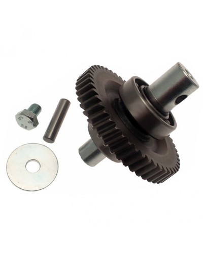 Шестерня редуктора FAST в сборе Came 119RID229 в Домодедово Запчасти для шлагбаумов и автоматики Pintop.ru