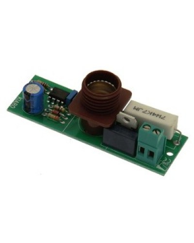 Плата лампы KIARO 24 Came 119RIR030 в Домодедово Запчасти для шлагбаумов и автоматики Pintop.ru