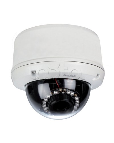 IP-камера видеонаблюдения уличная купольная D-Link DCS-6510/EP в Домодедово IP-камеры Pintop.ru