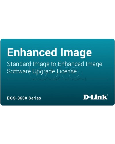 ПО D-Link DGS-3630-28TC-SE-LIC в Домодедово Беспроводное оборудование Pintop.ru