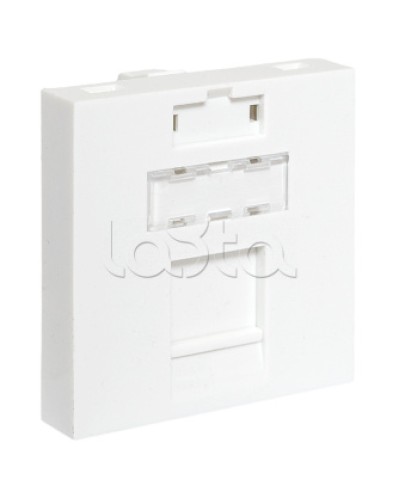 Вставка розеточная TERACOM PRO 45x45мм формат Mosaic на 1 модуль Keystone белая EKF (TRP-INS-MOS-2M1P-WH) в Домодедово Розетки компьютерные и телефонные Pintop.ru