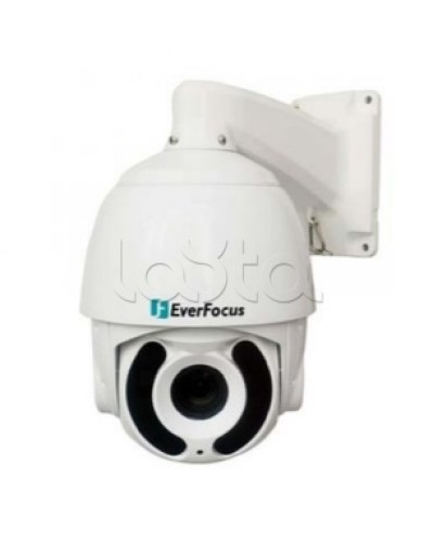 Камера видеонаблюдения поворотная купольная EverFocus EPA-6236 в Домодедово Аналоговые камеры Pintop.ru