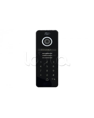 Видеопанель Fox FX-CP29 ЧЕРНЫЙ в Домодедово Вызывные видеопанели малоабонентные Pintop.ru